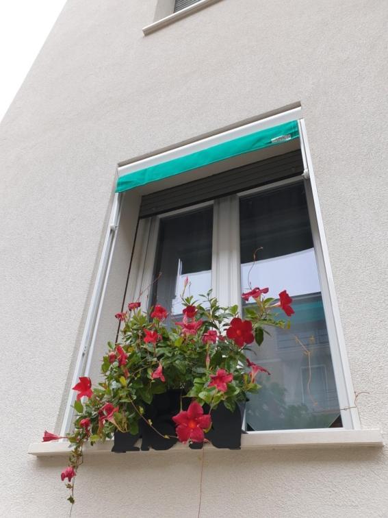 A casa di Elsa Appartamento Castenaso Esterno foto